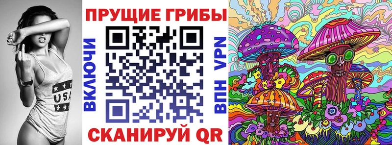 Купить где Нюрба Псилоцибиновые грибы мицелий